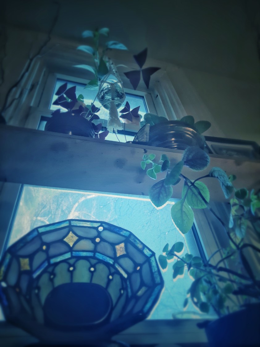 Another Letter, Life In Lockdown Of Your Favourite Heathen Introvert, And A Life Hack