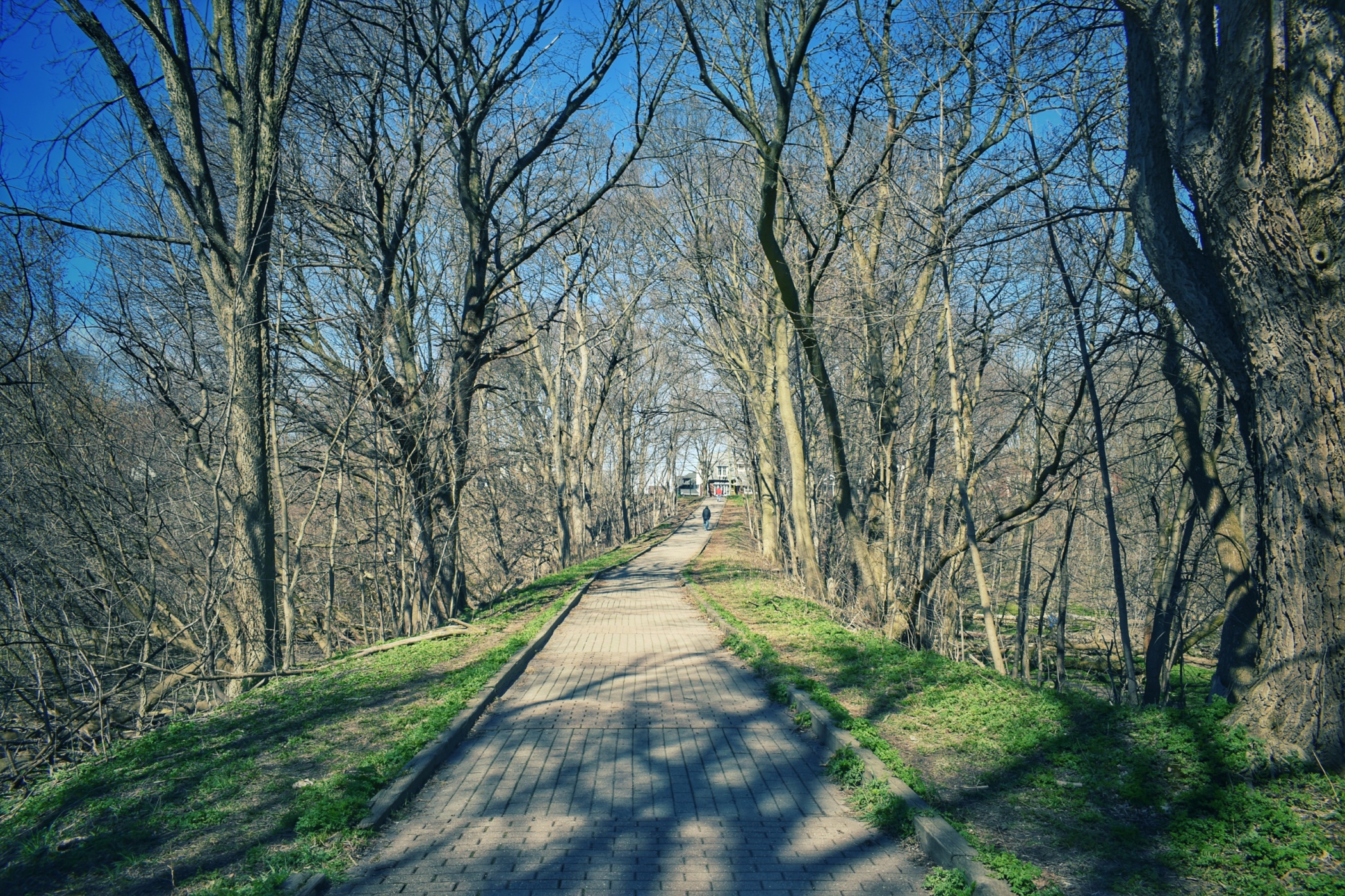 going up the brick path at Thames Park in Spring