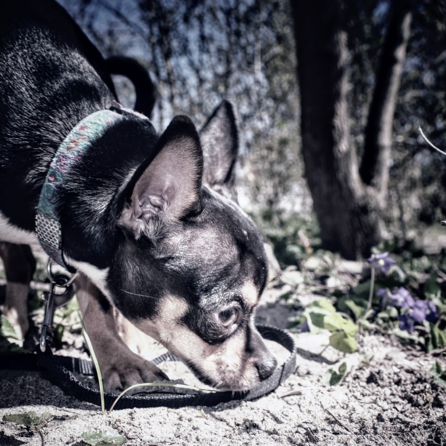 Can We Just Make Dystopian Hellscapes Fiction Again?