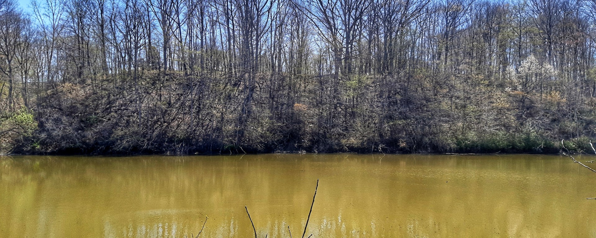 The Coves - Pond - London, Ontario, Canada