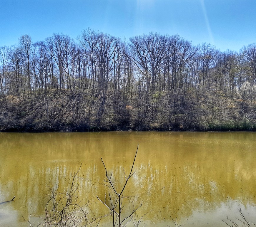 The Coves - Pond - London, Ontario, Canada