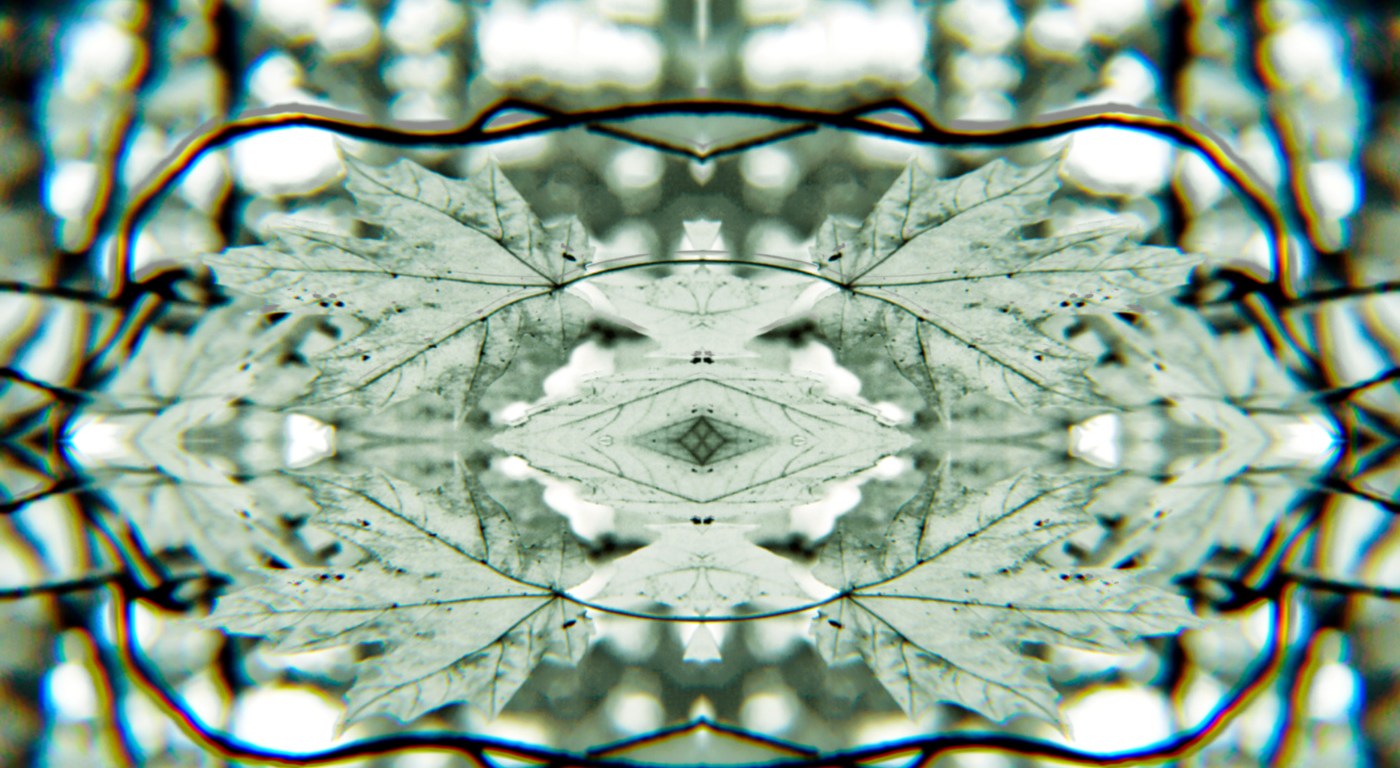 Maple Leaf Mandala in a grey jade colour.