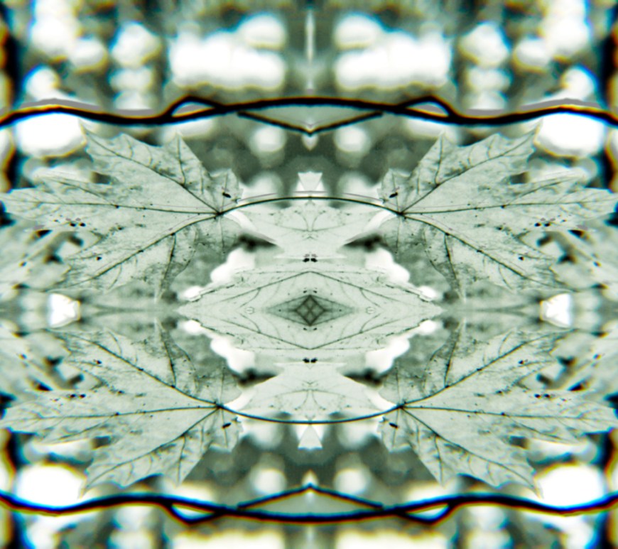 Maple Leaf Mandala in a grey jade colour.