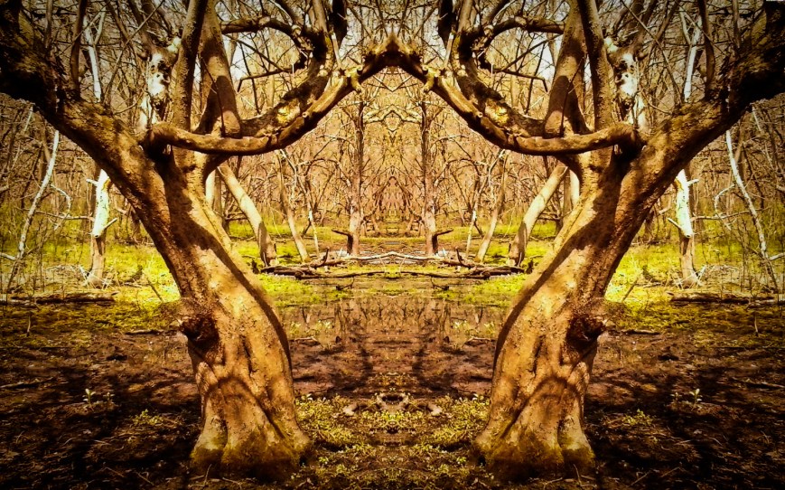 Whispers of The Great Forest: Where Guardian Mice, Mischief, and Urban Echoes Converge